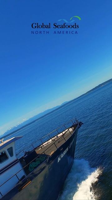 🚢 Путь на Аляску! 🐟