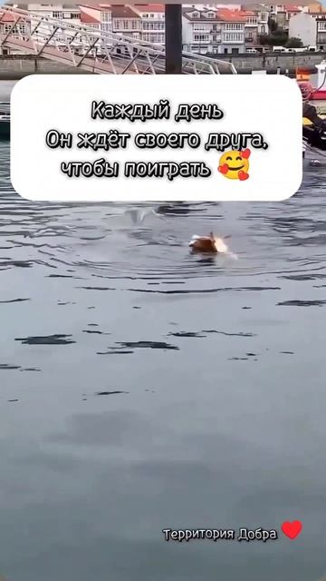 Такая разная дружба 🥰
