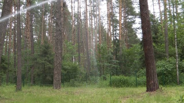В лагере "Добрый" прошла пожарная тренировка