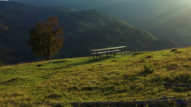 Что скрывают эти звуки - Happy Ending -- Scott Holmes Music -- Happy Background Music