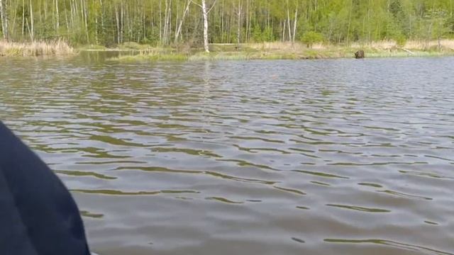 Рыбалка в Новосёлках
