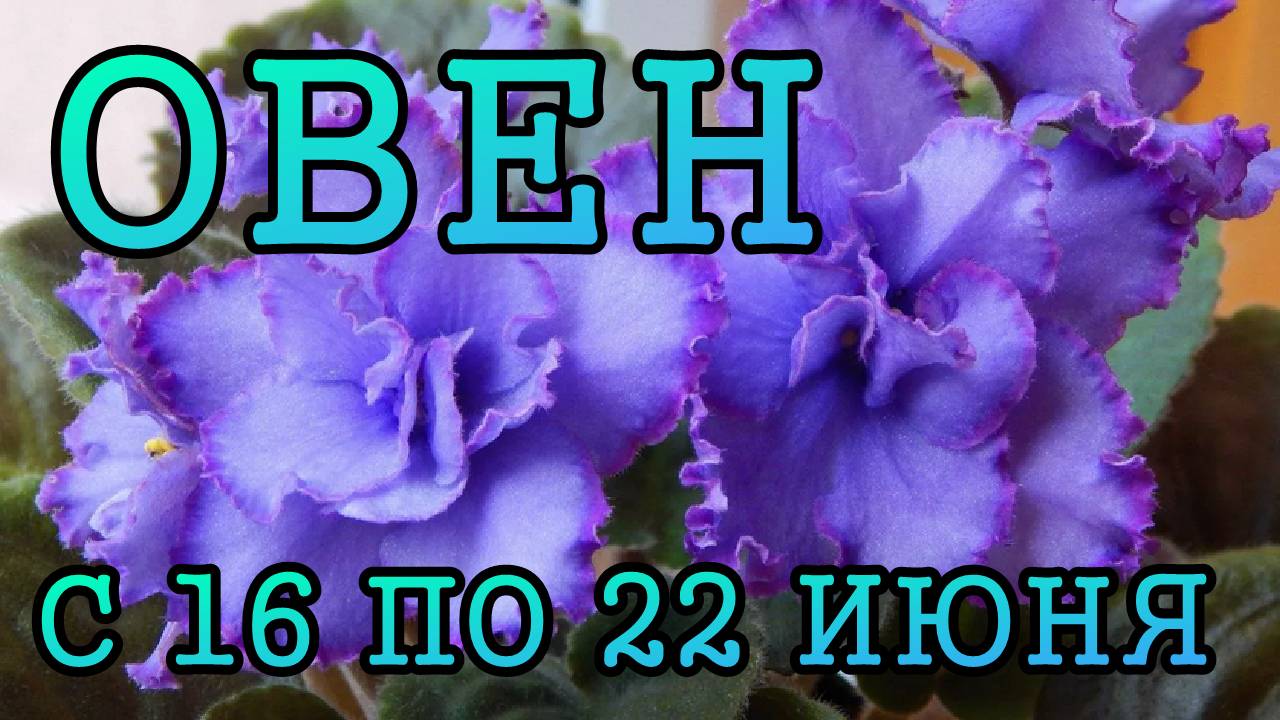 ОВЕН таро прогноз на неделю с 16 по 22 ИЮНЯ 2025 года.
