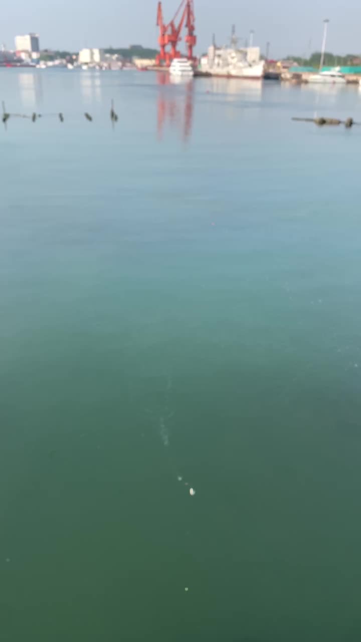 Что поймал китаец в жёлтом море?