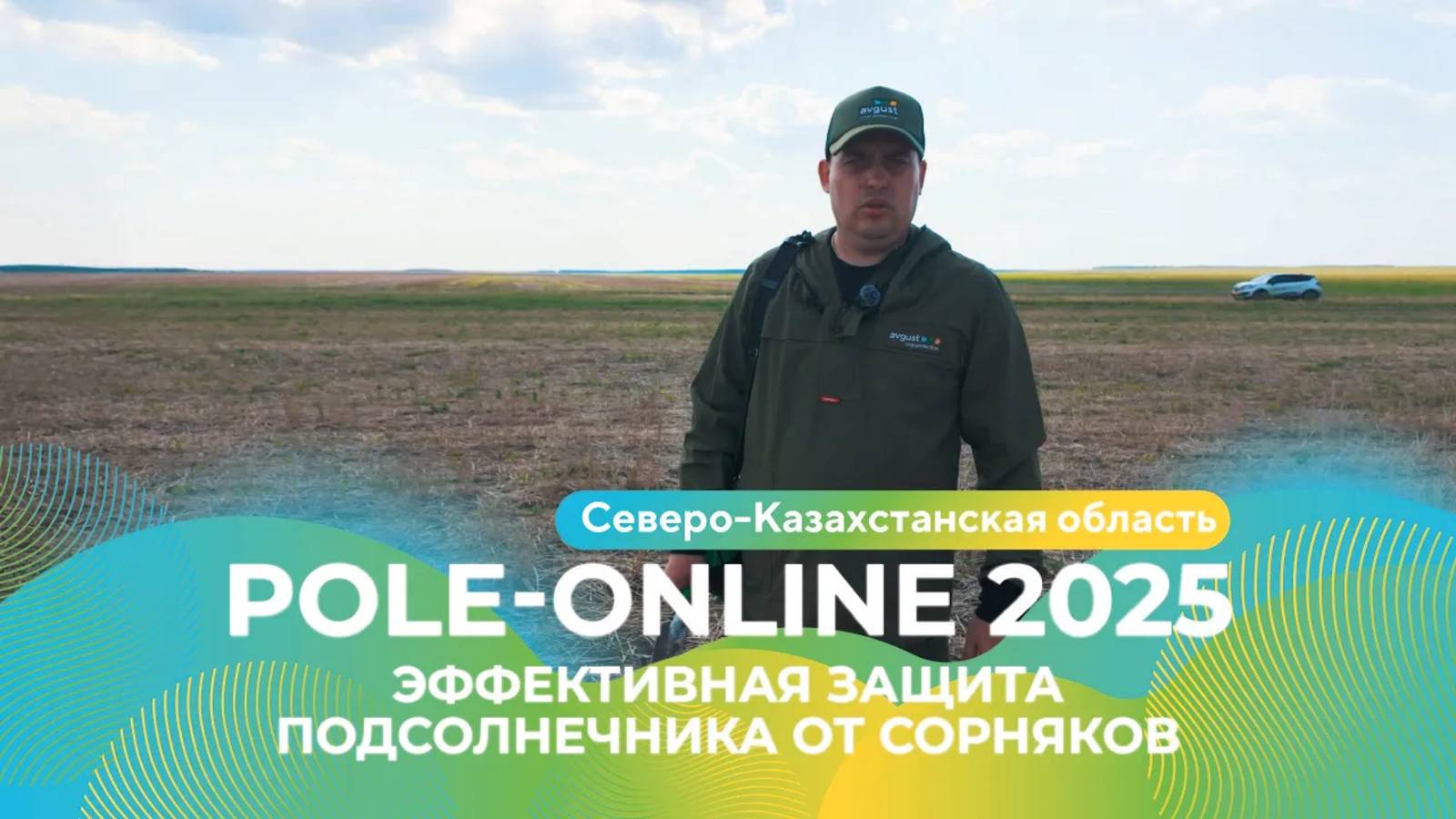 Защита подсолнечника от сорняков в Северо-Казахстанской области _ Pole-Online 2025 #подсолнечник