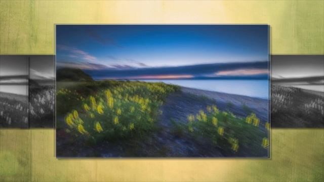 Magic Ear - Circles Of Desire