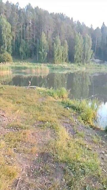 рыбалка