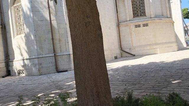 Я озвучила ваши письма в Соборе Святой Троицы на Духов День
