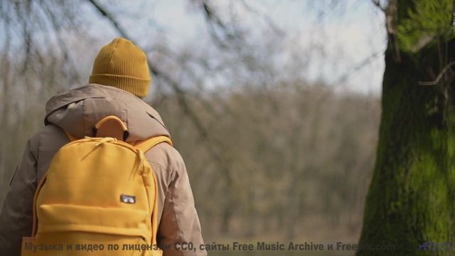 Музыка наполняет душу так, что хочется кричать - Depth of You -- Independent Music Licensing Collect