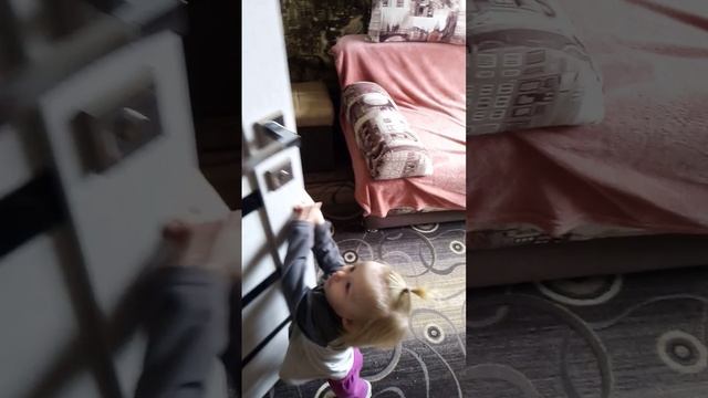 Алиса, нельзя!