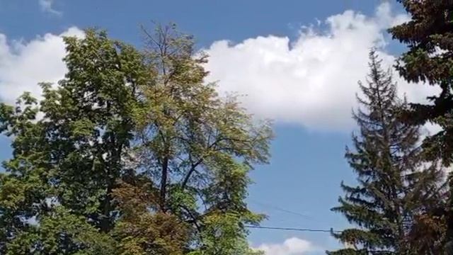 1000008137.mp4