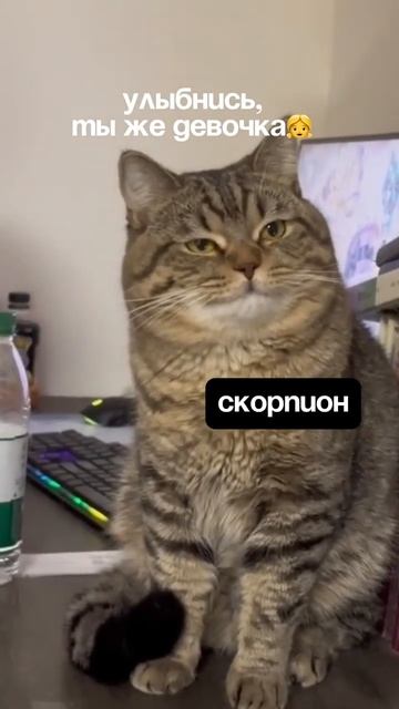 Мой телеграм ⭐️ подпишись 👉🏻 https://t.me/astrolog_chukreeva