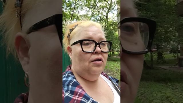 Поездка на дачу переносится на завтра