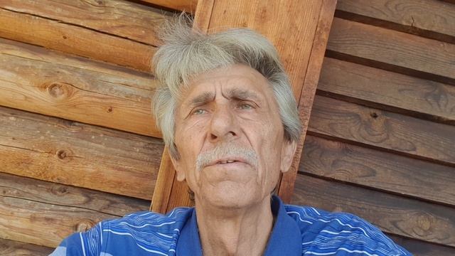 Бродяга-гармонист