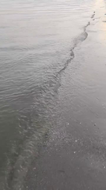 Вода в Азовском море достигла температуры "как в ванне" 

Пора выезжать 😎