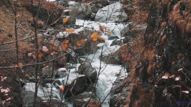 Почувствуйте, как стресс растворяется под этот саундтрек! - Musim Hujan [Edit] -- Ov Moi Omm -- Unna