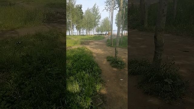 VID_20250611_092401
