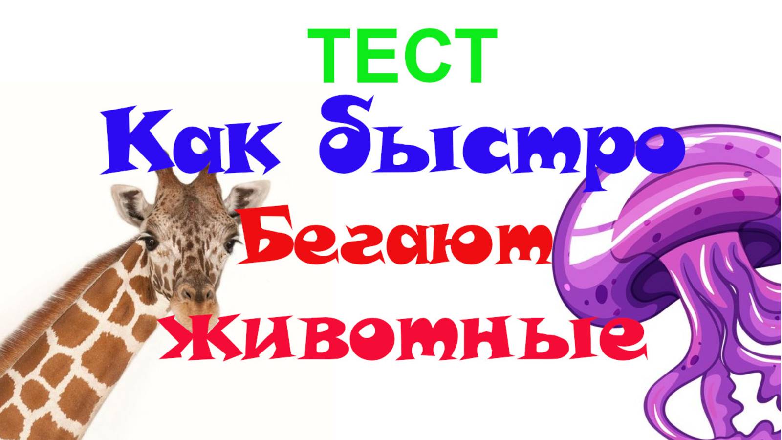 Тест. Животные, кто быстрее ?