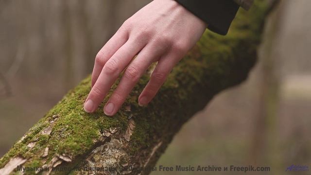 Послушай эта музыка усиливает каждое мгновение - Two ducks on a tree -- Cartouch -- Cartouch