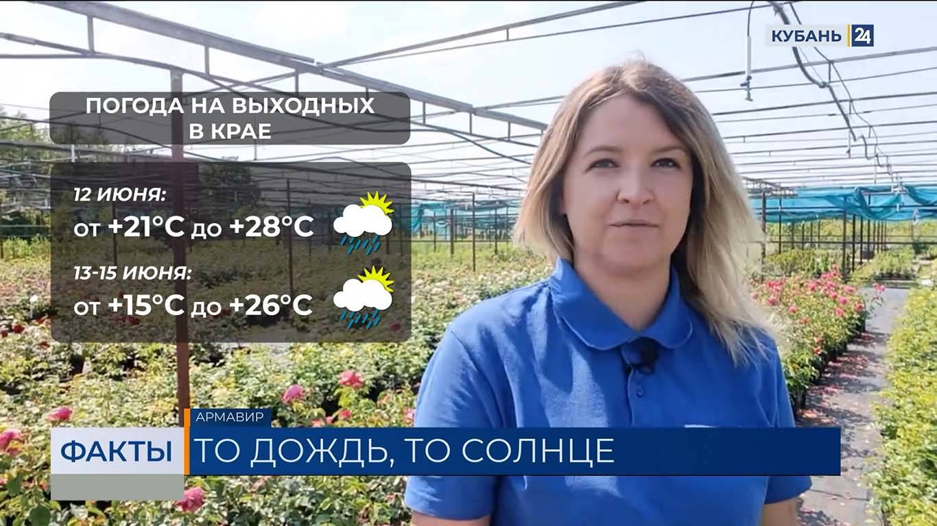 Ливень, град и сильный ветер прогнозируют в праздничные входные на Кубани