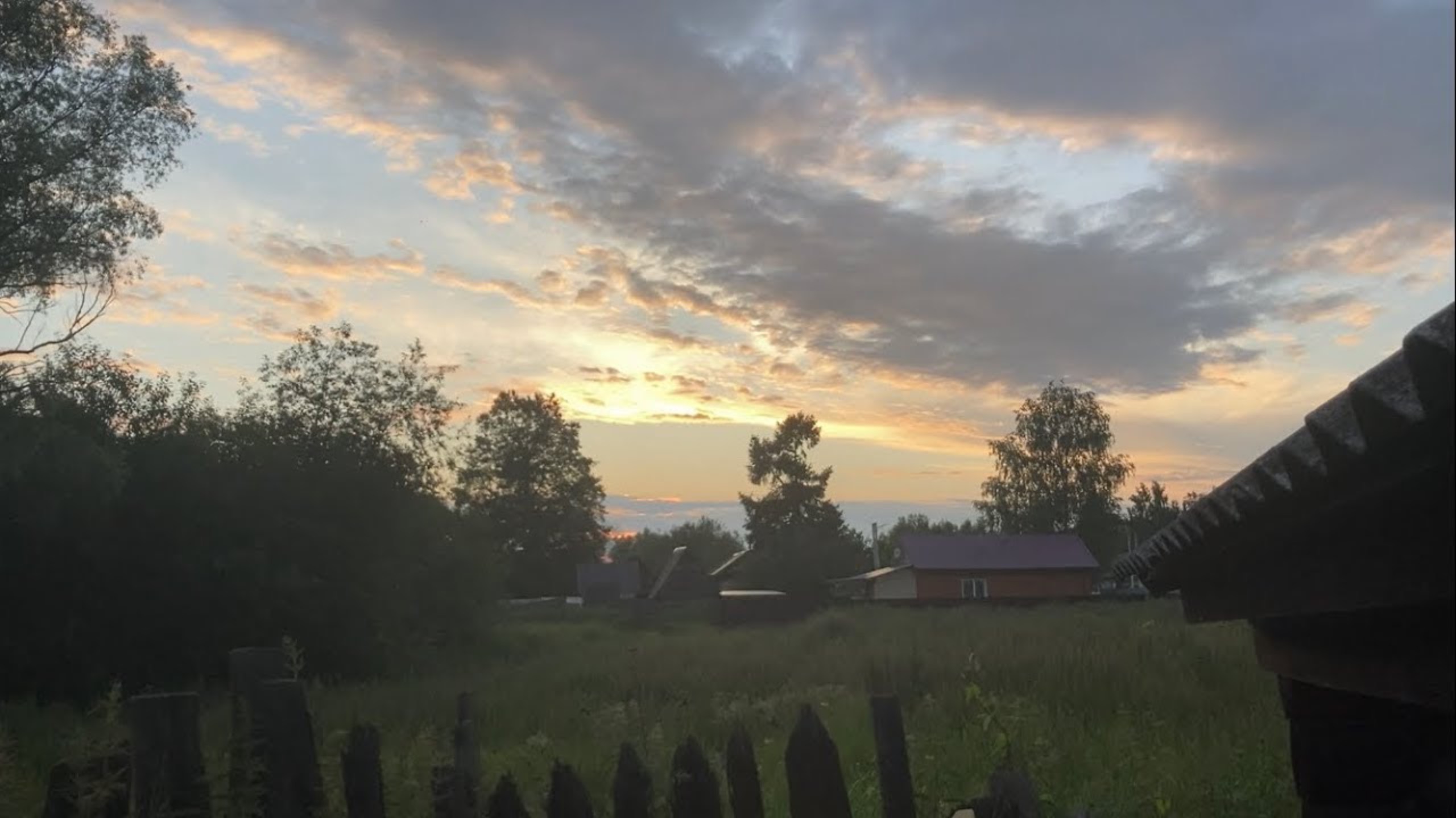 Небольшой деревенский выпуск. Сажаем тыкву. Готовим шашлык. Уехали с семьей в деревню. #live #travel