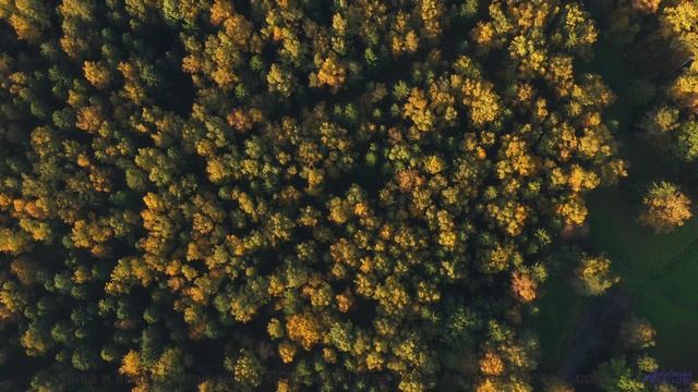 Леса и поля вместе дарят забытые эмоции - Eternal -- Kirk Osamayo -- Season Two (PURPLE)