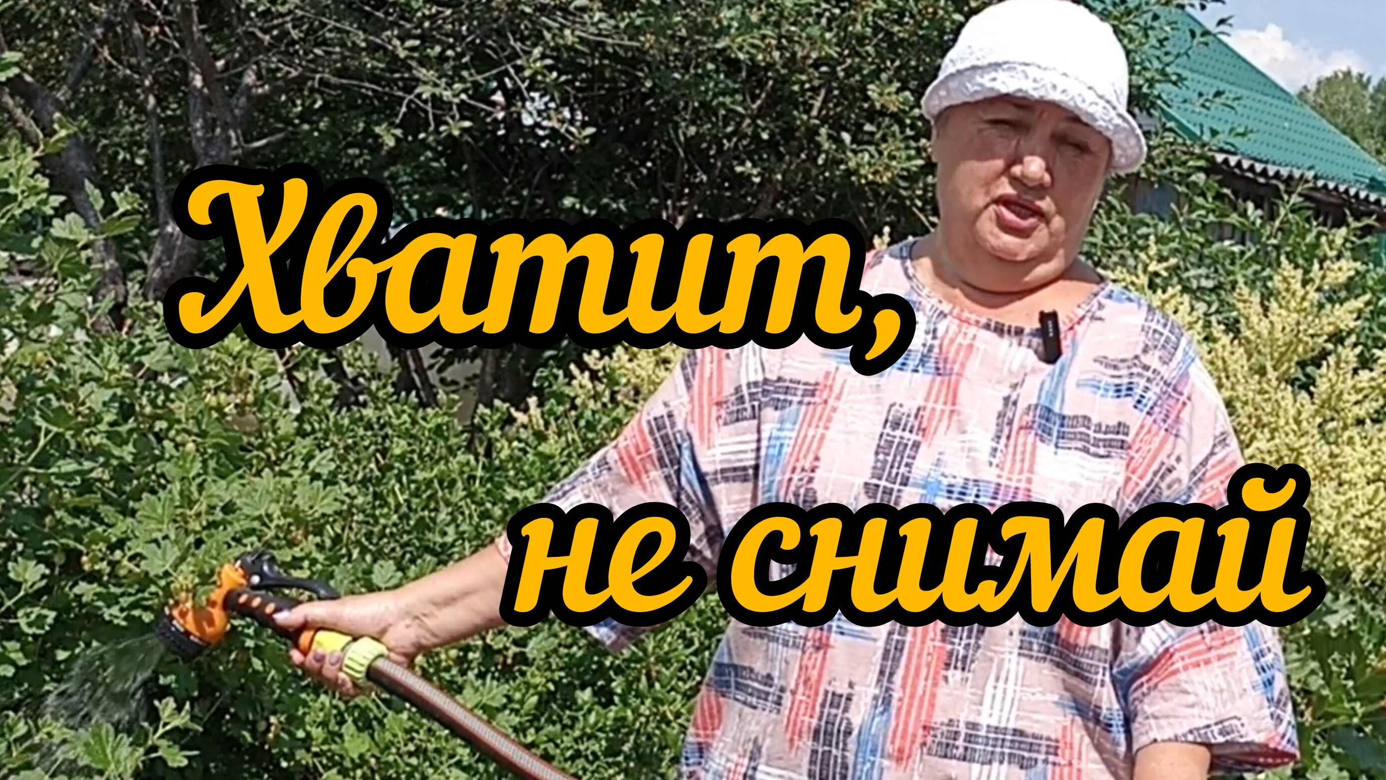 9 июня опять дача. Жара. Покупки из ФиксПрайс. Бегония.