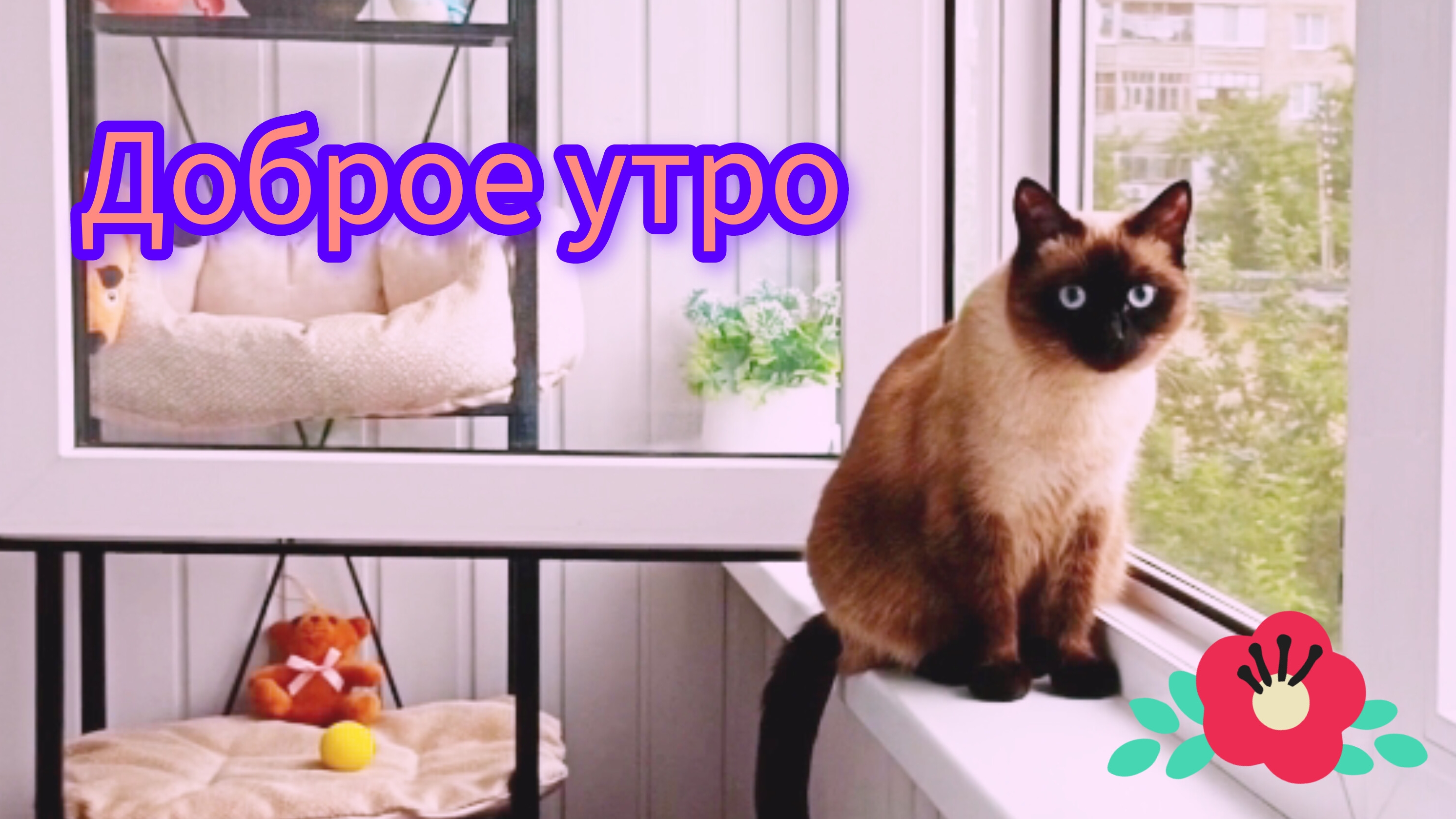 Доброе утро 11-06-2025 ,ура клумба готова #просто жизнь #жизнь инвалида