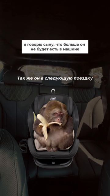 ТИПИЧНАЯ ПОЕЗДКА С РЕБЕНКОМ