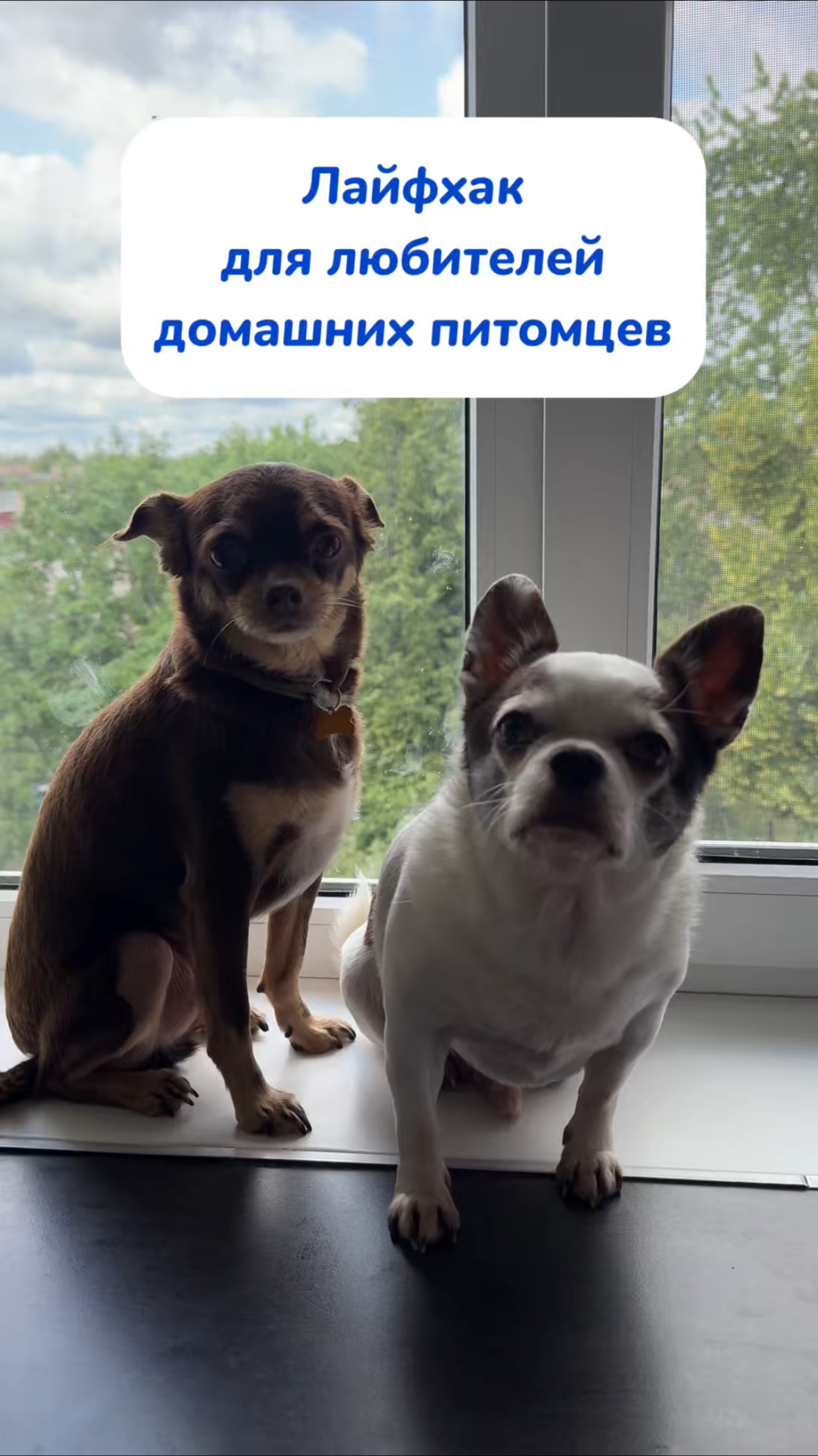 Остаются разводы на окнах? Вот решение! Артикул на WB #269153142 
Ozon #1740810271