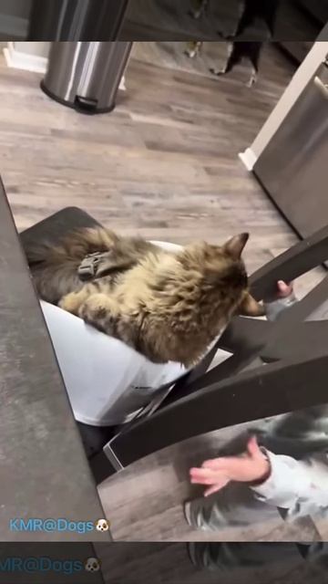 Теперь ты будешь кушать за столом, а не на столе💬😂