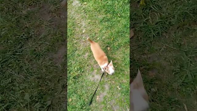 Сеня самый выспавшийся в квартире😁