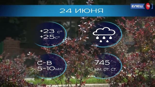 Прогноз погоды на 24 июня