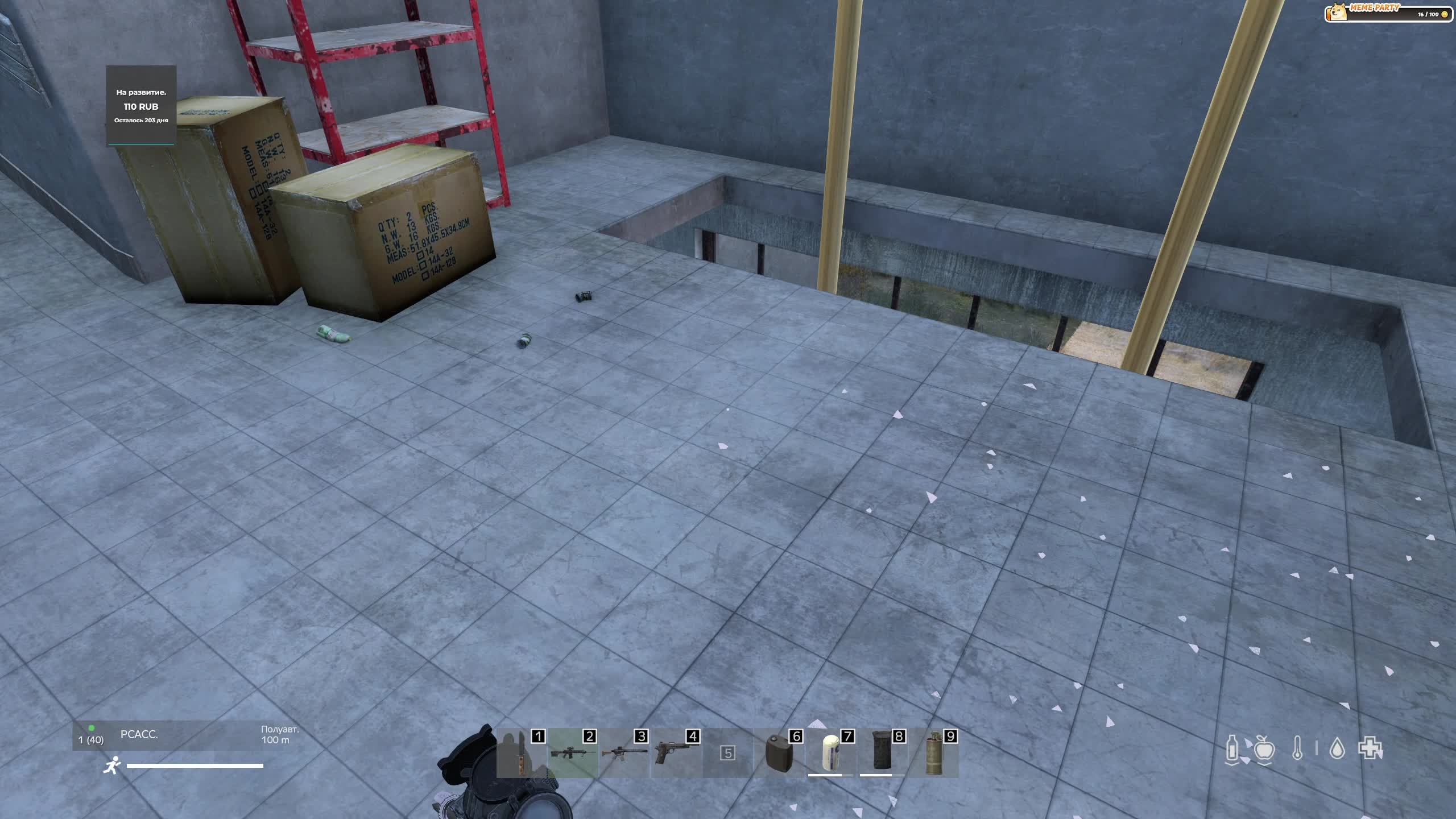DayZ №3