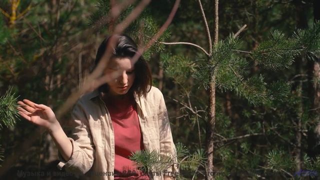 Душа поёт, а тело замирает при таких аккордах - How about Morse Code -- A Tape Full of Mistakes -- D