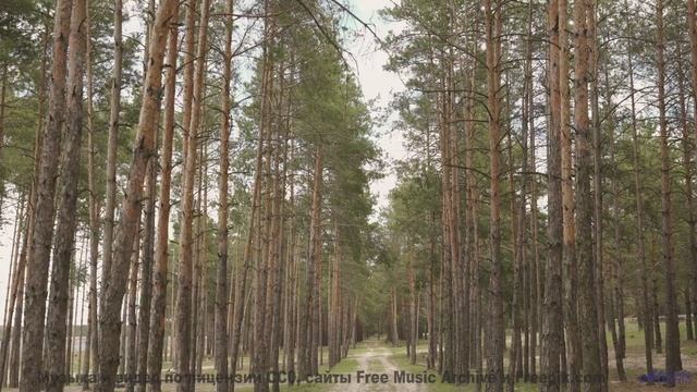 Музыка для кибернетических организмов - будущее звучания! - Changing World -- Ketsa -- Metaphysics