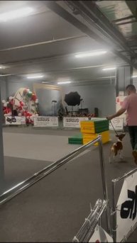 VID-20250123-WA0027.mp4