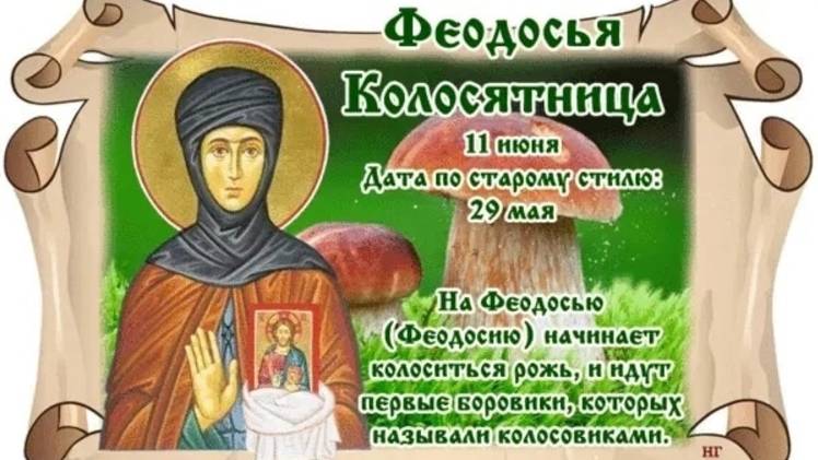 11 июня День Феодосии. Что нельзя делать 11 июня. Народные традиции и приметы