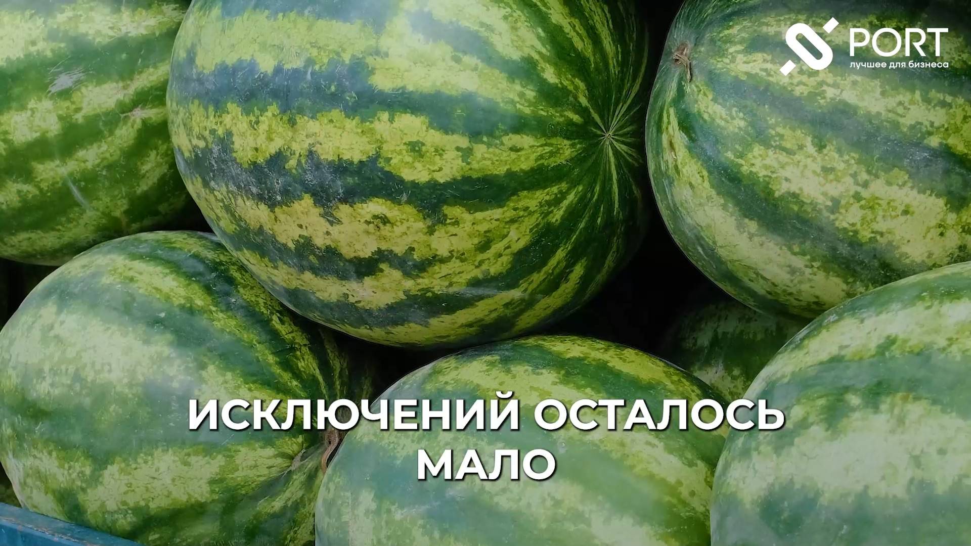 Нужна ли касса на рынке и ярмарке с 2025 года