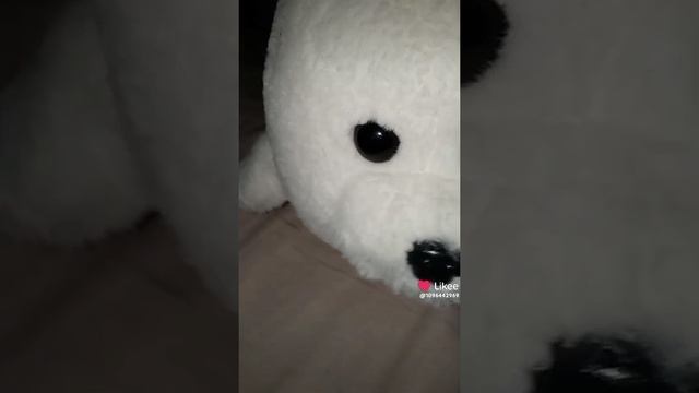1000011579.mp4