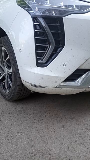 гении парковки