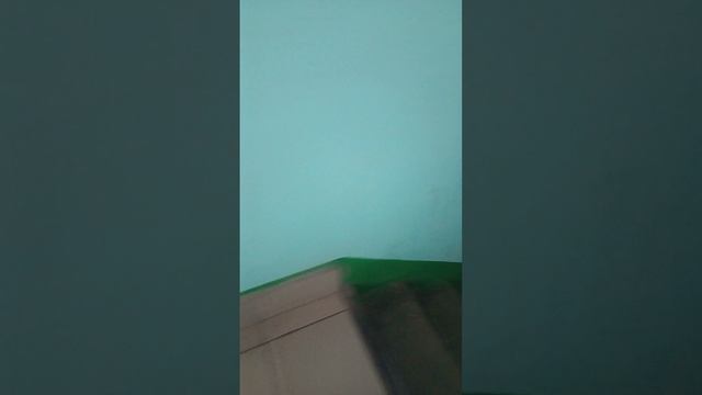 1000001355.mp4