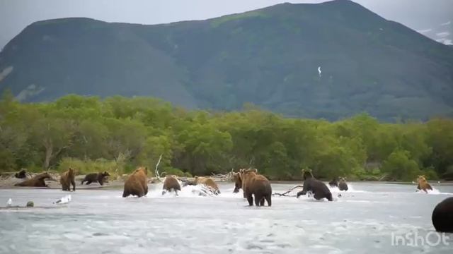 Камчатка- здоровый дух, здоровое тело