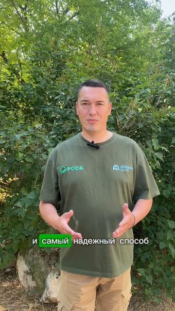 Ваш вопрос - наш ответ ✅
Как в септике появляются бактерии ❓