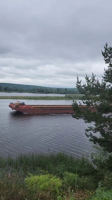Звенигово 11/06/2025 11-35