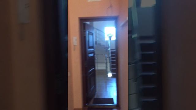 Голен 17