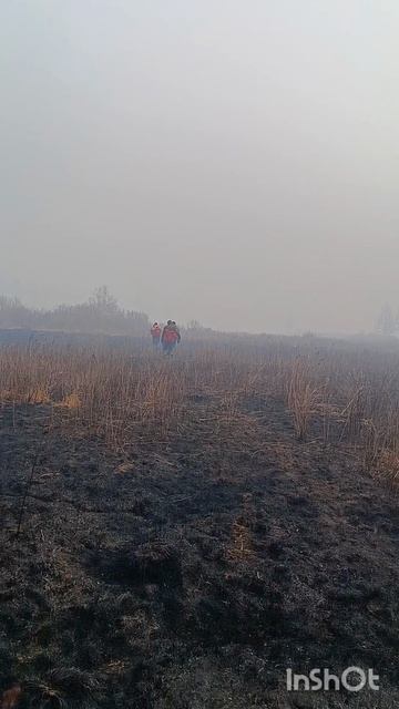 песня про десантников