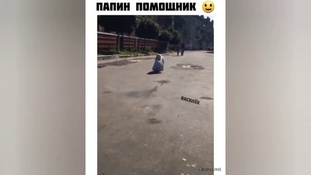 Супер приколы 60