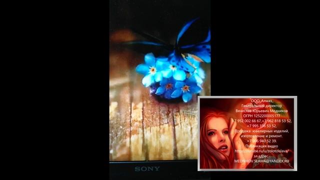 ООО,,Алмаз,, +79628165352 — сделано в Clipchamp