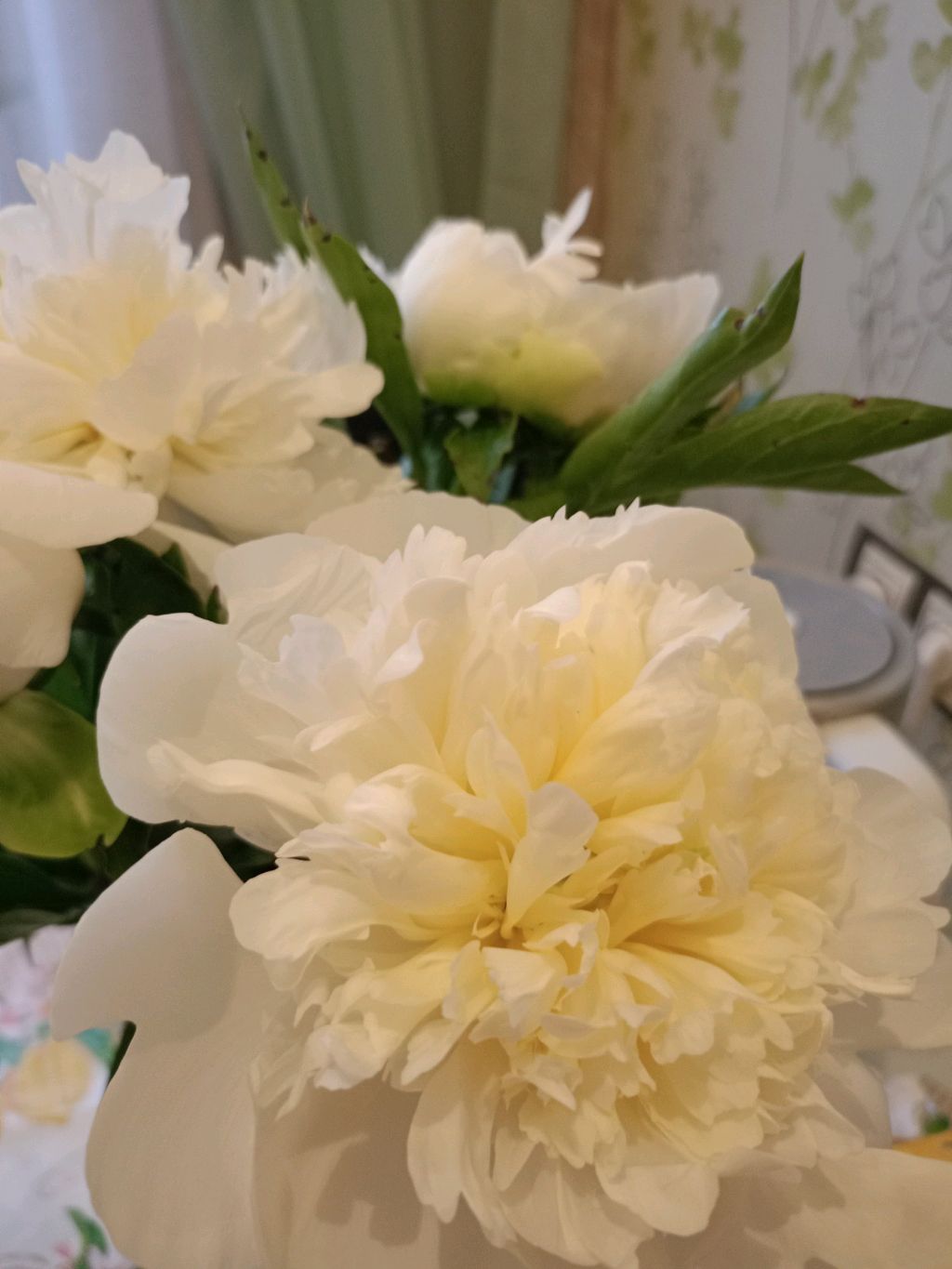 СТРИМ / ДЕНЬ РОЖДЕНИЯ🎂🎉🎁