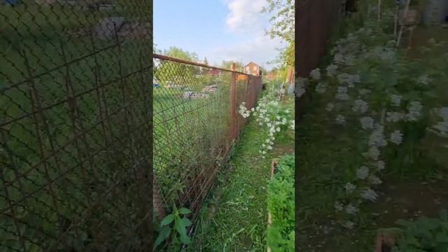Дача на продажу